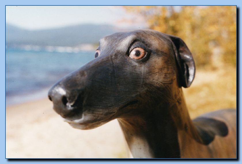 2-48 animal portrait-archive-0005